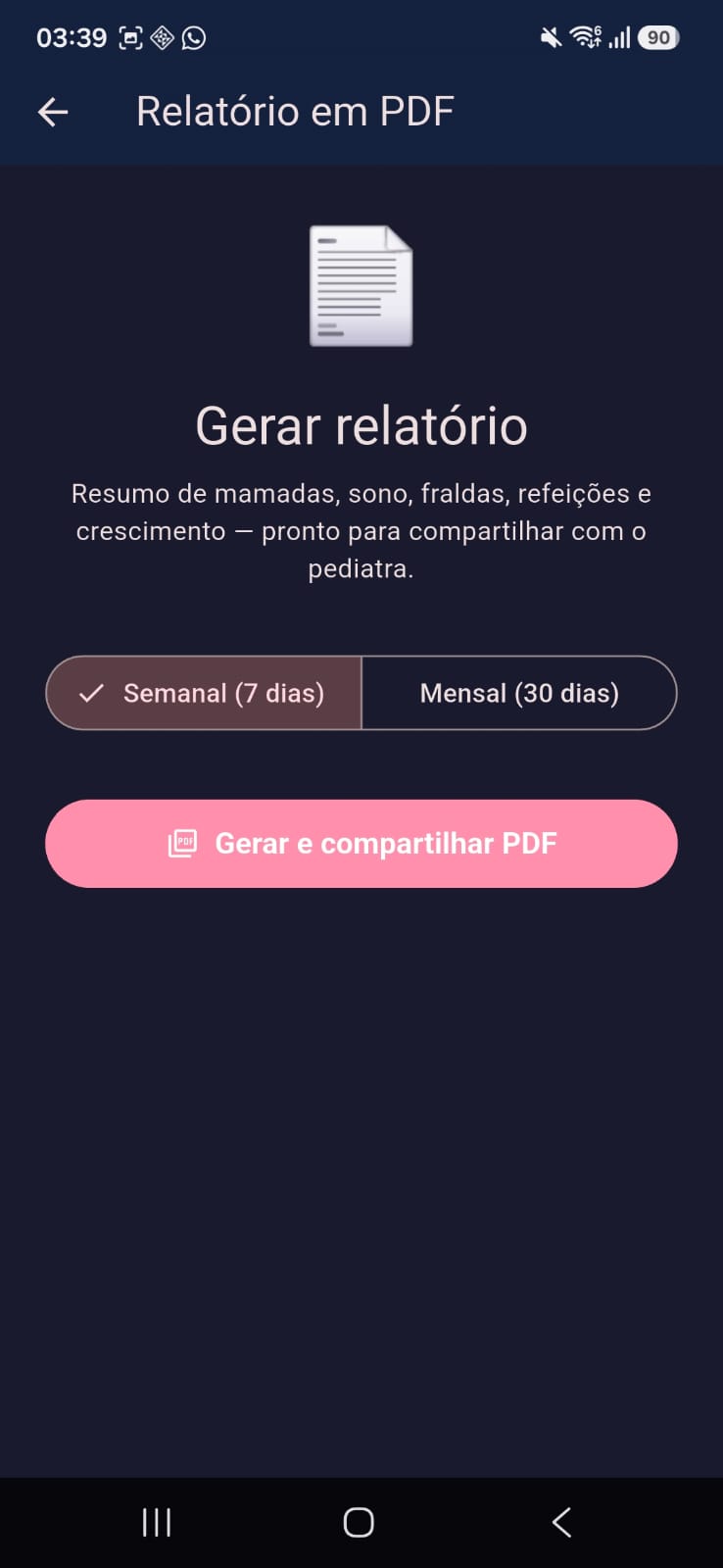 Tela de geração de relatório em PDF